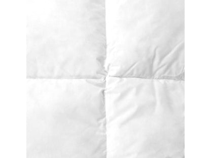 Couette 260x240 cm hiver Domopure garnissage naturel duvet de canard 500 g/m2 LCPK29021