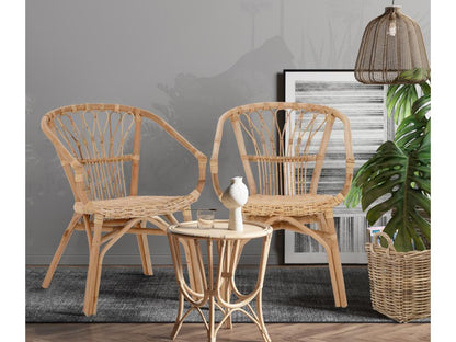 Chicyla - Chaises de salle à manger lot de 2 en rotin nature FBUN30779