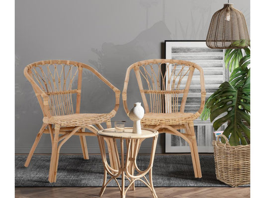 Chicyla - Chaises de salle à manger lot de 2 en rotin nature FBUN30779